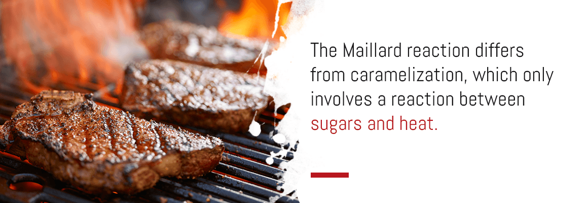 science of grilling maillard reaction